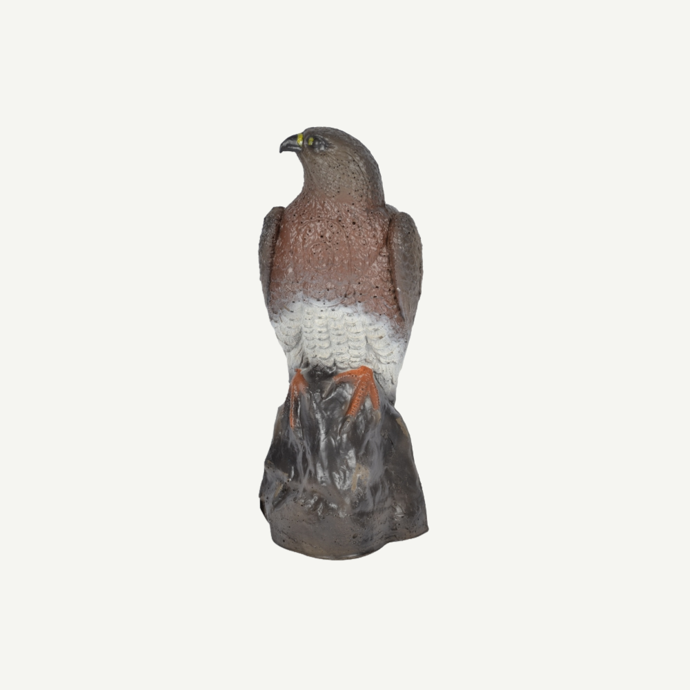 3D Tier Franzbogen Falke