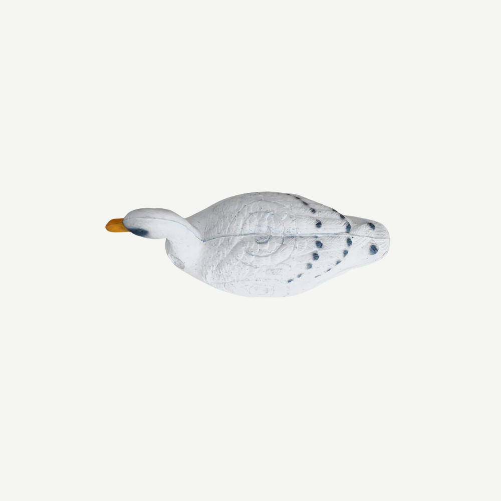 Leitold Schwan
