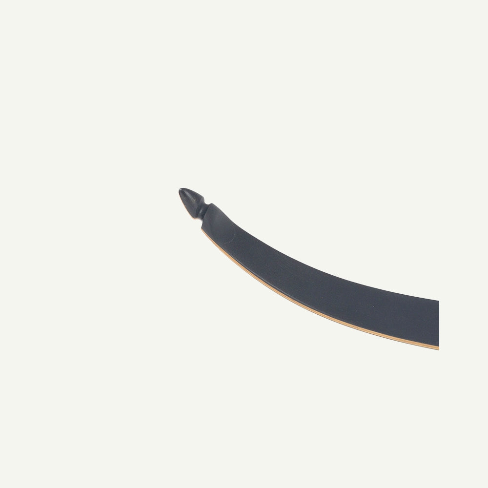 Bodnik Nokoni Black Recurve Bogen