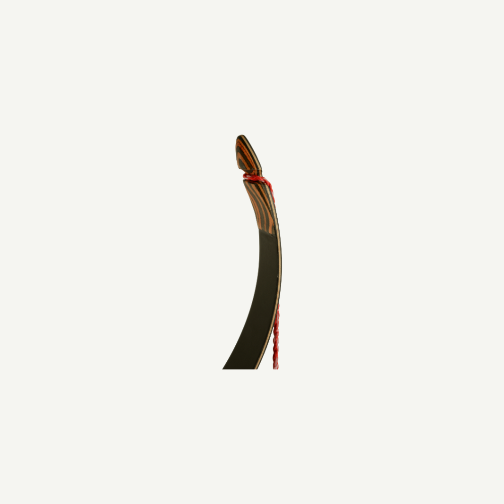 Mietbogen Penthalon Kinder Recurve Little Mingo