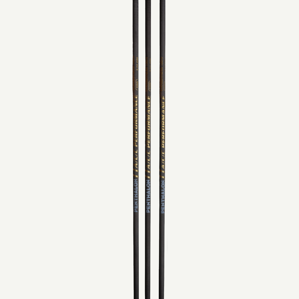 100406 Penthalon Performance A/C/C Aluminium-Carbon Schaft (12 St.)