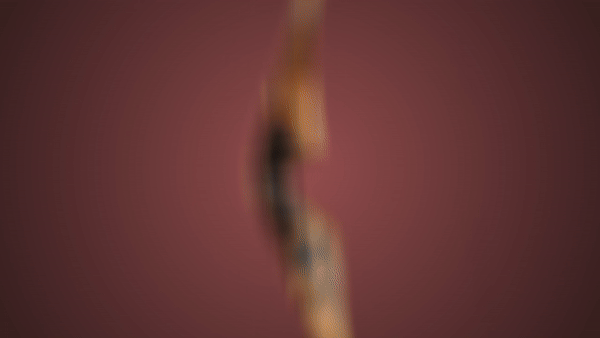 Bogen Mittelteil liegend im Wald