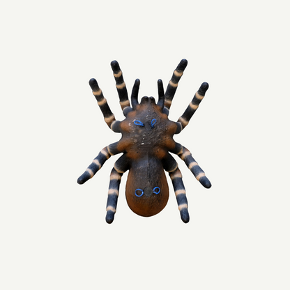 100370 Leitold Vogelspinne
