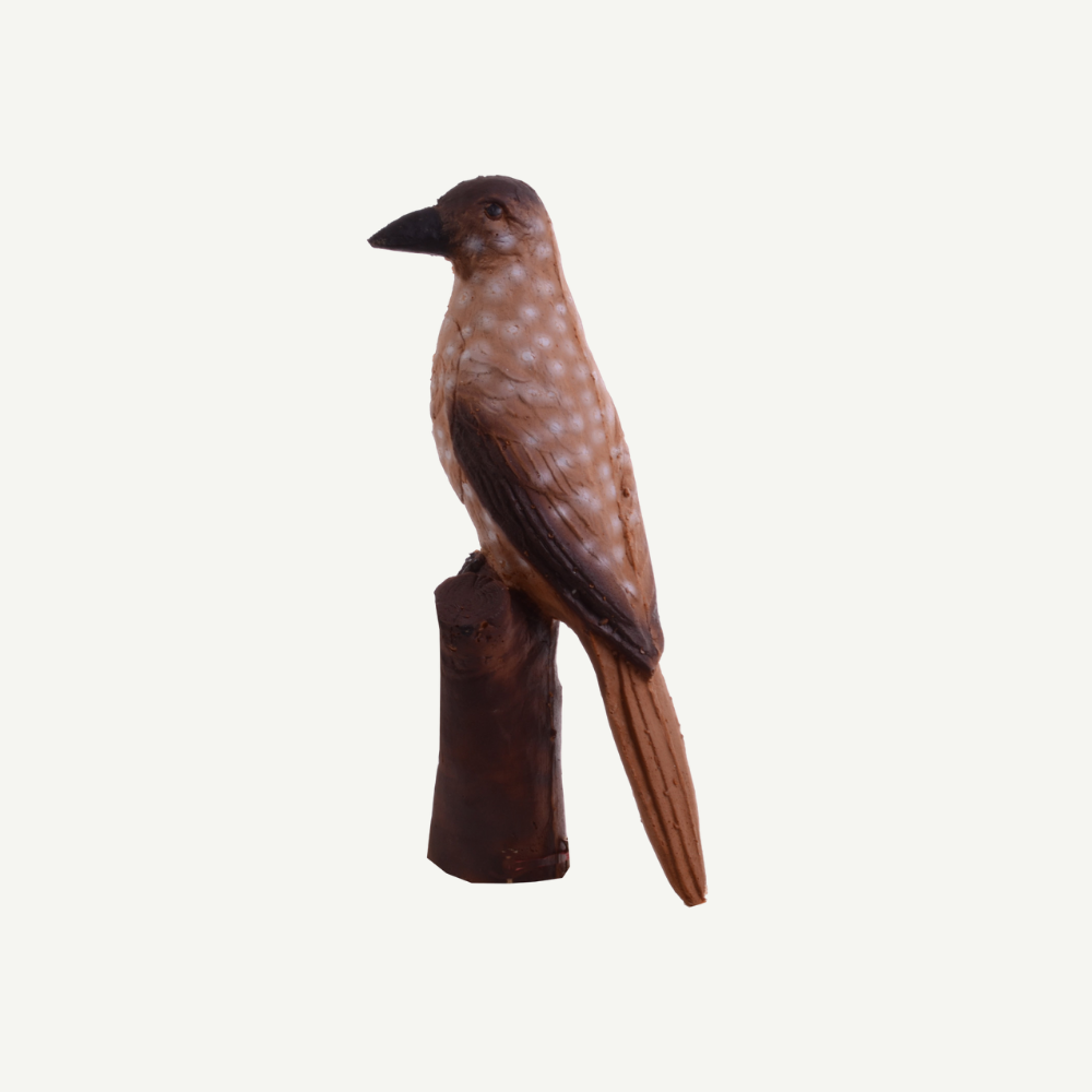 IBB 3D Tier Tannenhäher