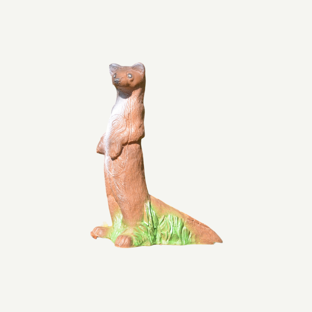 IBB 3D Tier Steinmarder