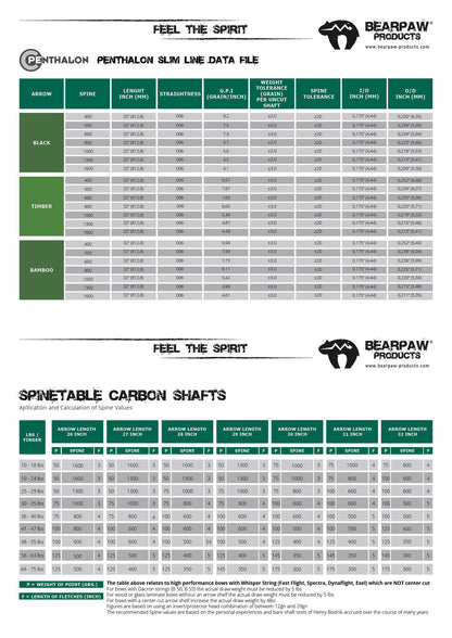 Penthalon Carbonschäfte Bandit