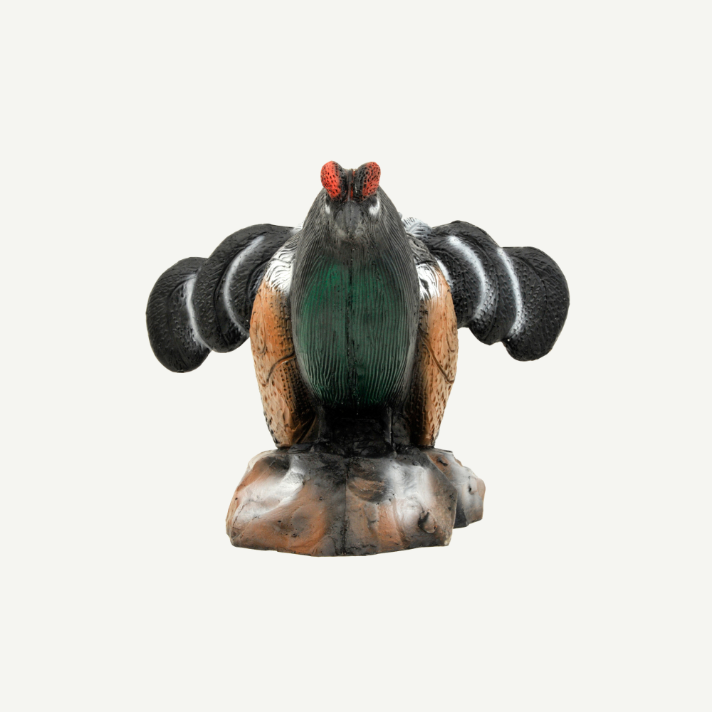 Leitold Birkhahn balzend