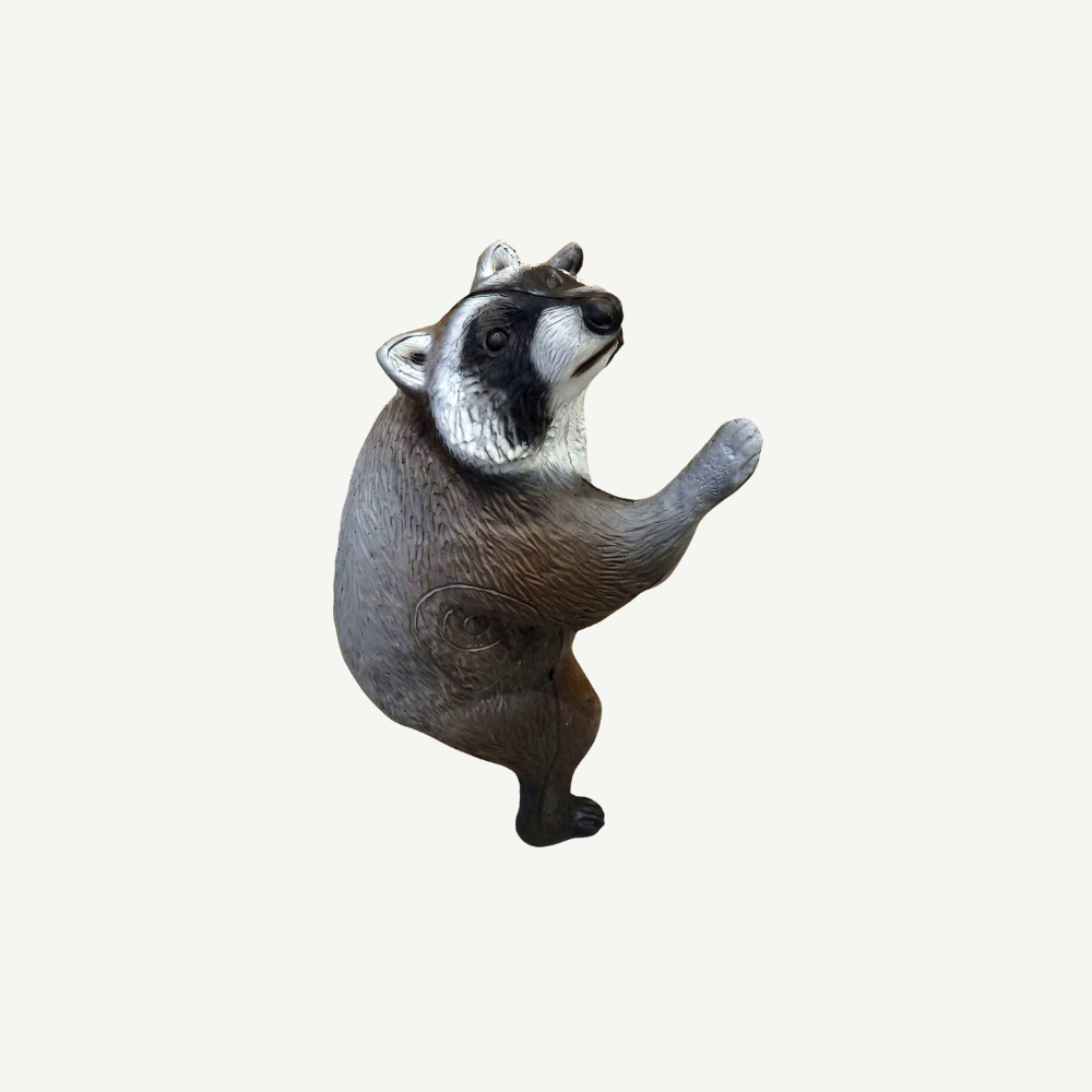 Leitold Waschbär kletternd