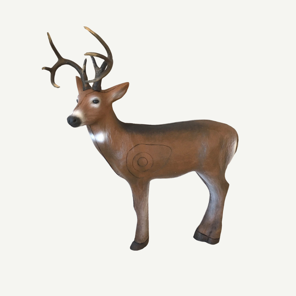 Leitold Junger Weißwedelhirsch