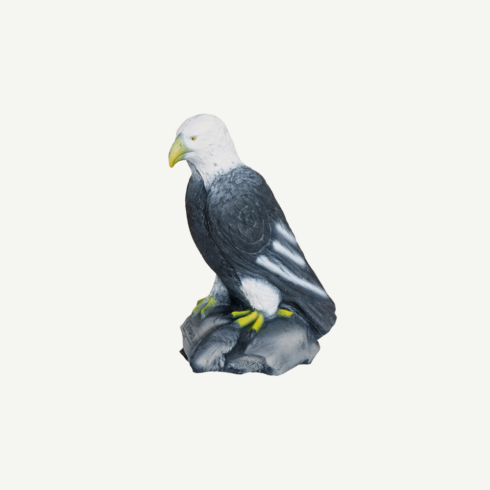 Leitold Weißkopfseeadler sitzend