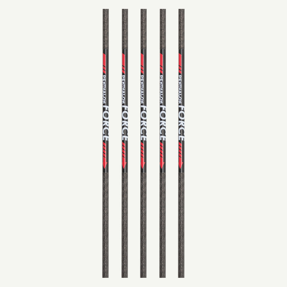 Penthalon Carbonschäfte Force 400