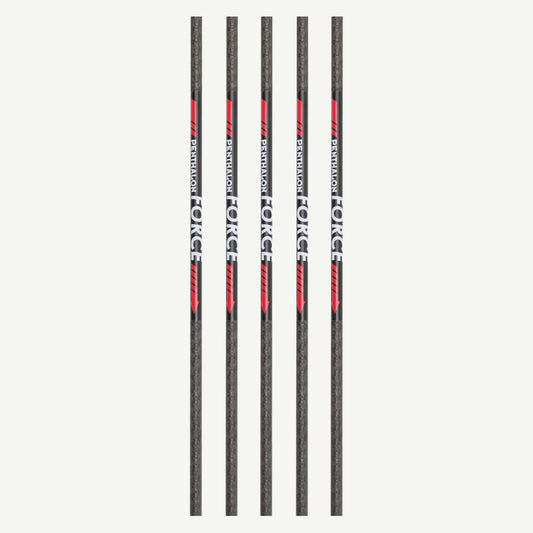 Penthalon Carbonschäfte Force 600