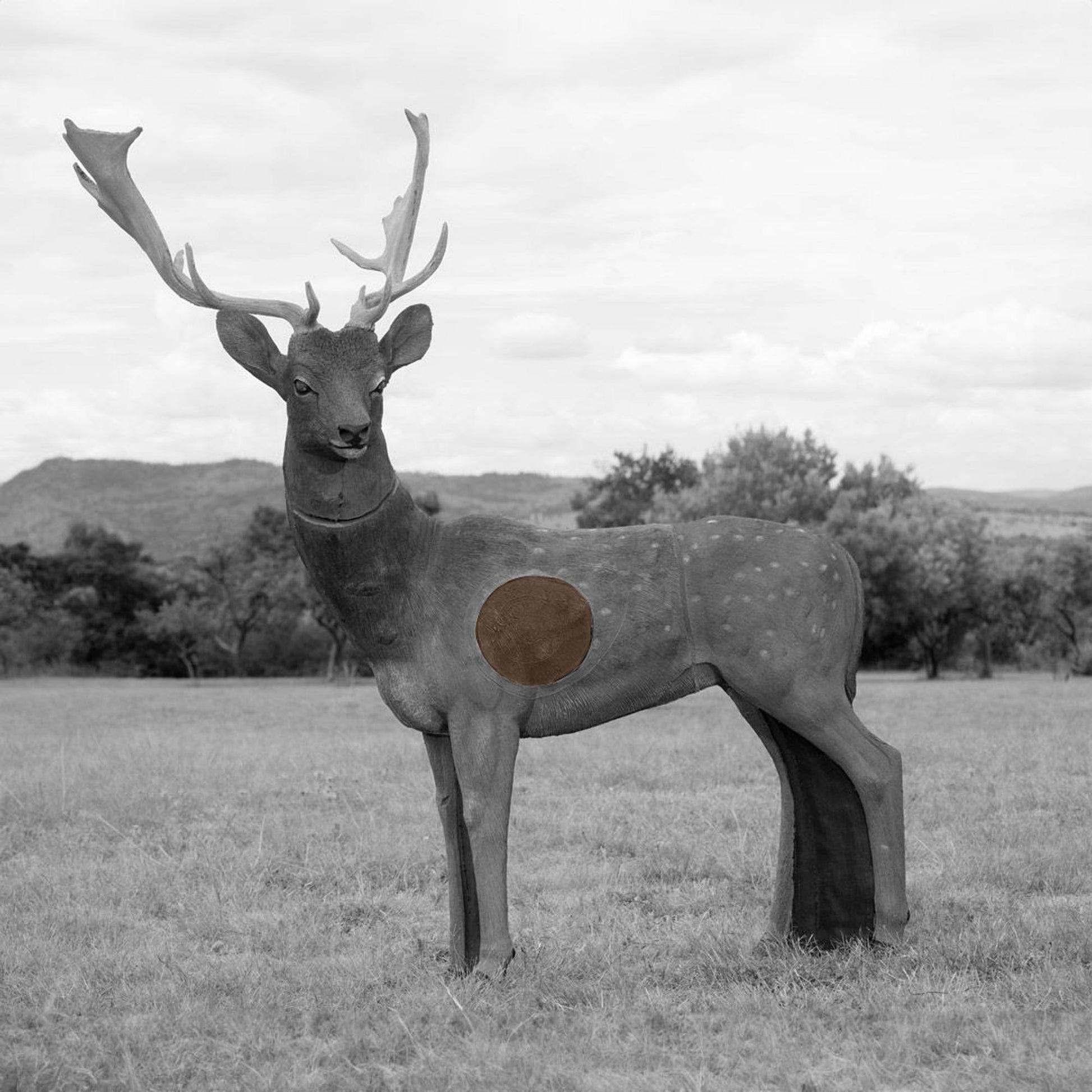 Wildcrete 3D Target - Ersatzteile