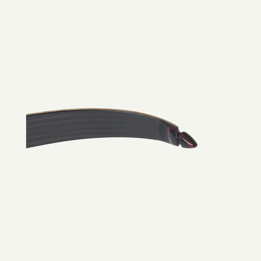 Bodnik Redman Carbon Jagdrecurve Bogen