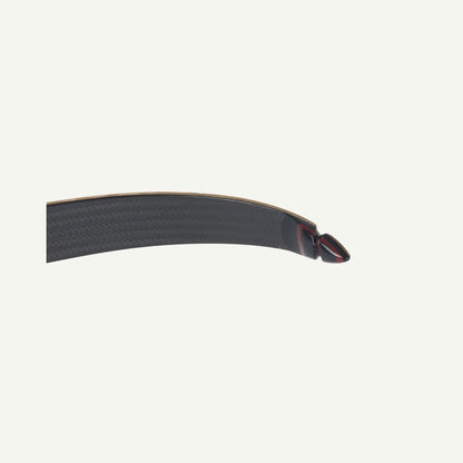 Bodnik Redman Carbon Jagdrecurve Bogen