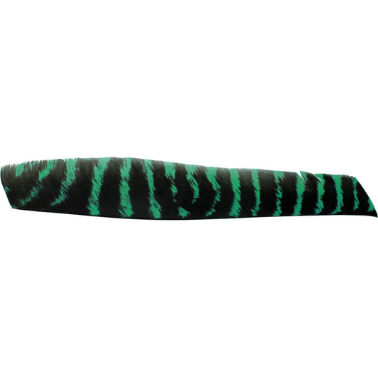 Feder RW Volle Länge naturgestreift grün