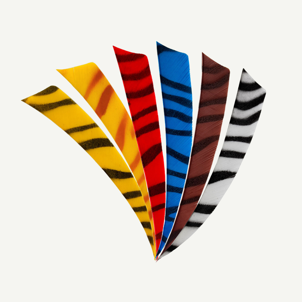 Feder RW Shield 5 Zoll zebra