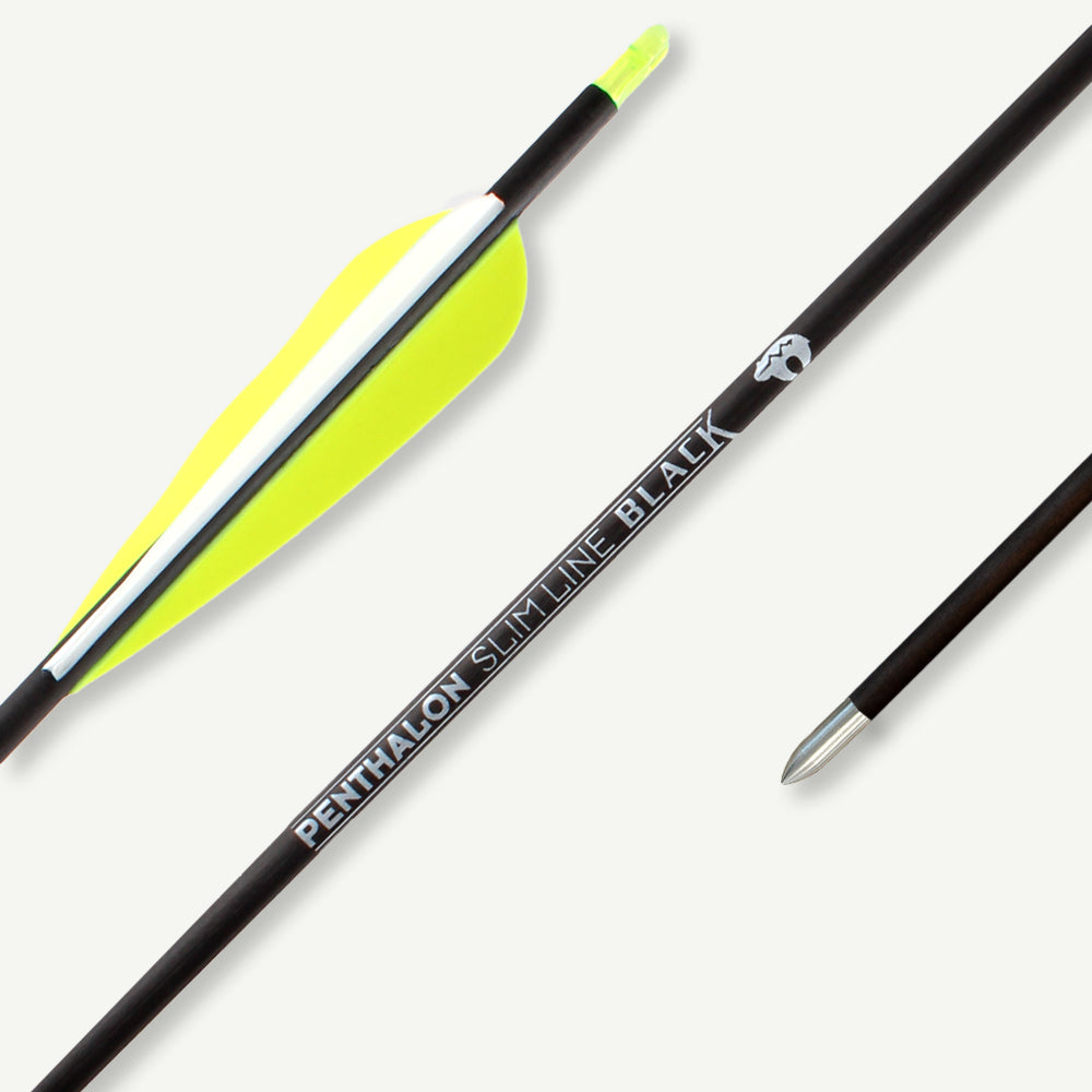 Penthalon Carbonpfeile 40821-D Slim Line Black Fletches