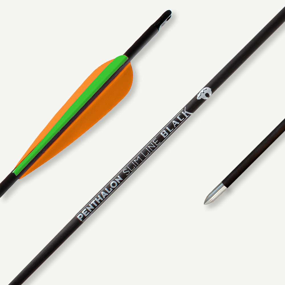Penthalon Carbonpfeile Slim Line Black Fletches 1000