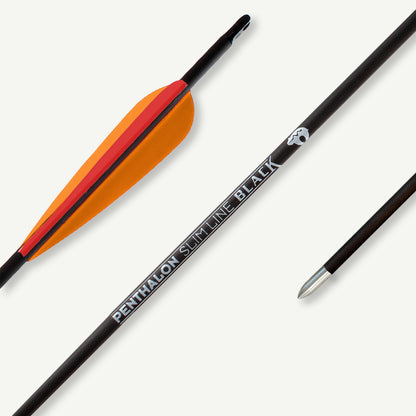Penthalon Carbonpfeile Slim Line Black Fletches 1300
