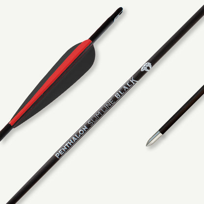 Penthalon Carbonpfeile 40821-D Slim Line Black Fletches