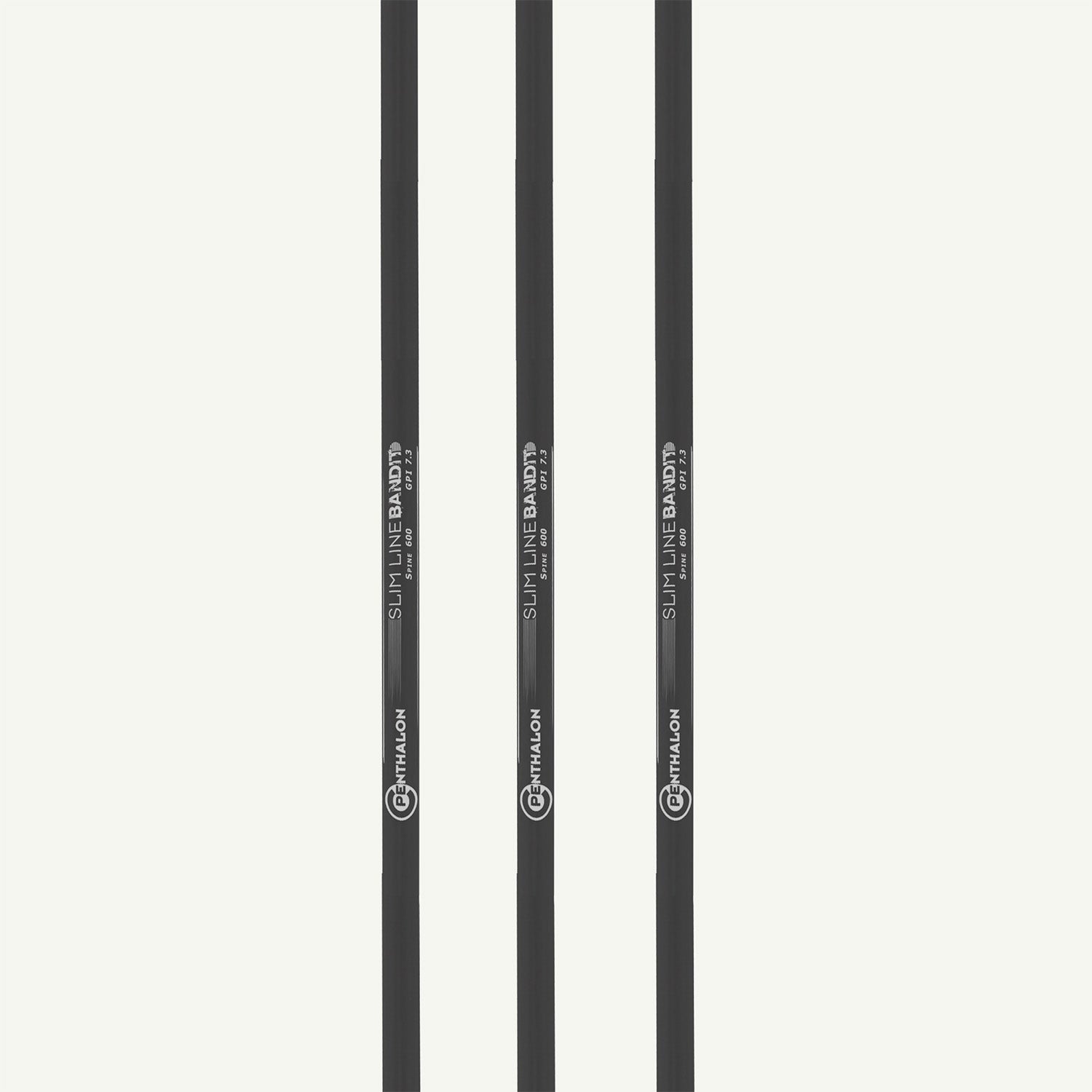 Penthalon Carbonschäfte Bandit Slim Line