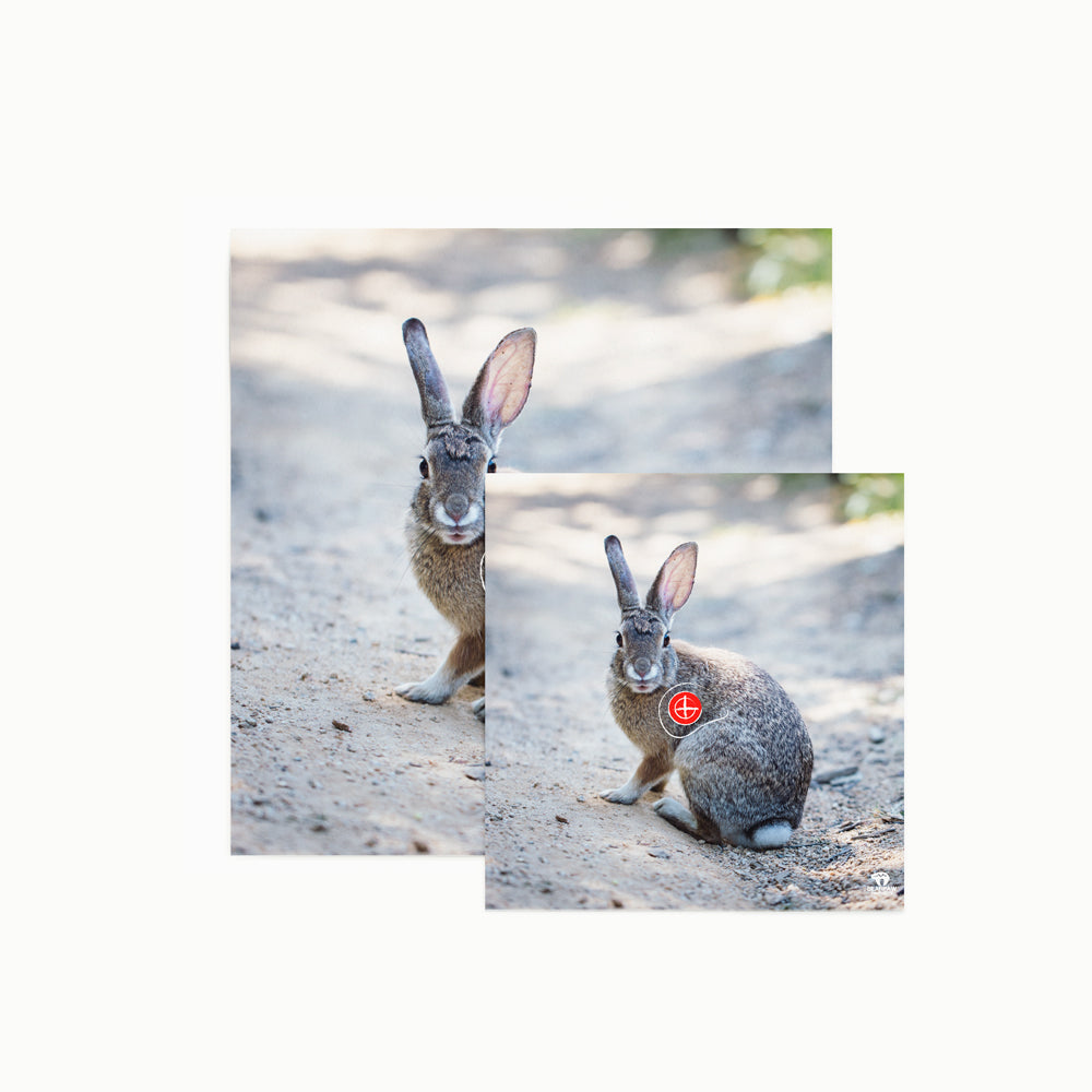 Tierbild Zielscheibenauflage 60 cm Hase