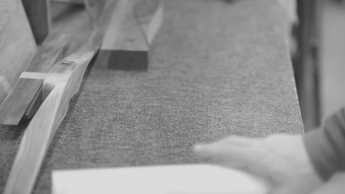 Video Image